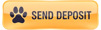 PayPal - First, create a payment button.